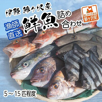 津軽 鰺ヶ沢産鮮魚詰め合わせ5〜15尾程度[11月〜6月発送] ※東北・関東限定 [魚介類] お届け:2023年11月25日〜2024年6月30日