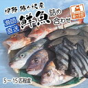 津軽 鰺ヶ沢産鮮魚詰め合わせ5～15尾程度 ※東北・関東限定　　お届け：2023年11月25日～2024年6月30日