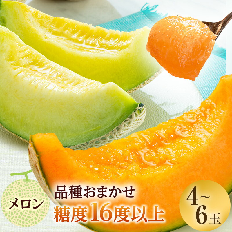 【ふるさと納税】【先行予約2024年産】津軽産 減農薬栽培メロン4～6玉 糖度16度以上保証！　果物類・メロン青肉・果物類・フルーツ・メロン赤肉　お届け：2024年7月25日～2024年8月25日のサムネイル