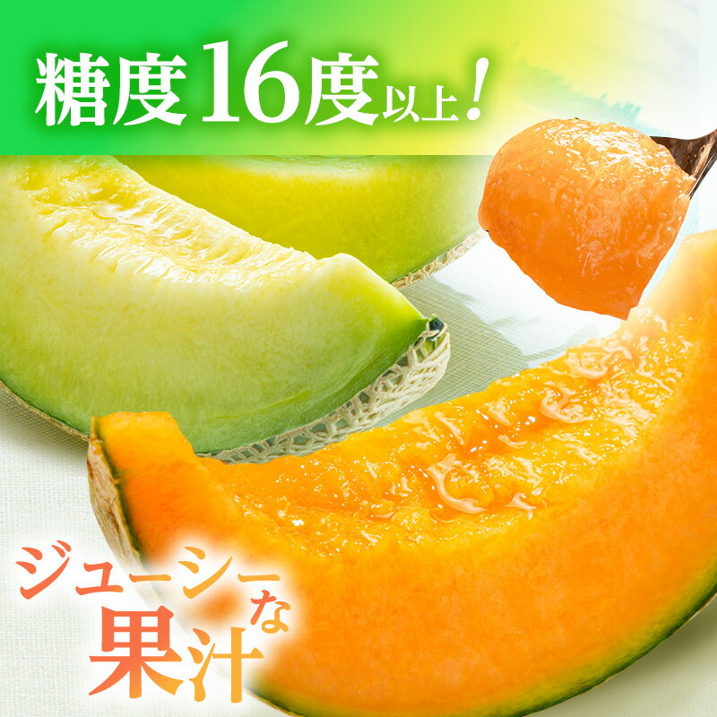 【ふるさと納税】メロン 先行 予約 青森 減農薬栽培メロン 4～6玉 糖度16度以上保証 減農薬 青肉 赤肉 青肉メロン 赤肉メロン フルーツ 果物 旬のフルーツ 旬の果物 旬 夏 レビュー 高評価 先行予約 2025 2025年 青森県　お届け：2026年7月20日～2026年8月25日 f023213-ajigasawa-10000676 青森県鰺ヶ沢町 サンプル画像3