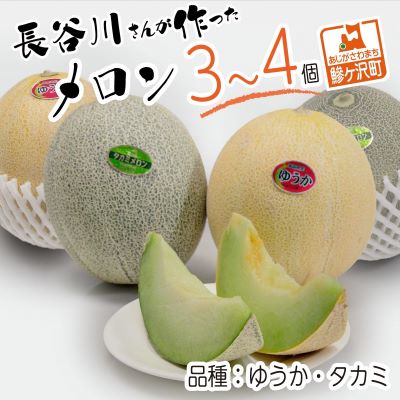 【ふるさと納税】【先行予約2023年産】長谷川さんが作ったメロン3〜4個（ゆうか・タカミ）　7月〜8月発送　青森県鰺ヶ沢町産　【果物類・メロン青肉・フルーツ・3〜4玉】　お届け：2023年7月25日〜2023年8月10日のサムネイル