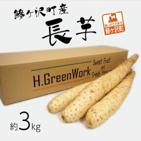 【ふるさと納税】鯵ヶ沢町産 長芋（約3kg）　【野菜・根菜】　お届け：2023年12月5日～2024年4月15日