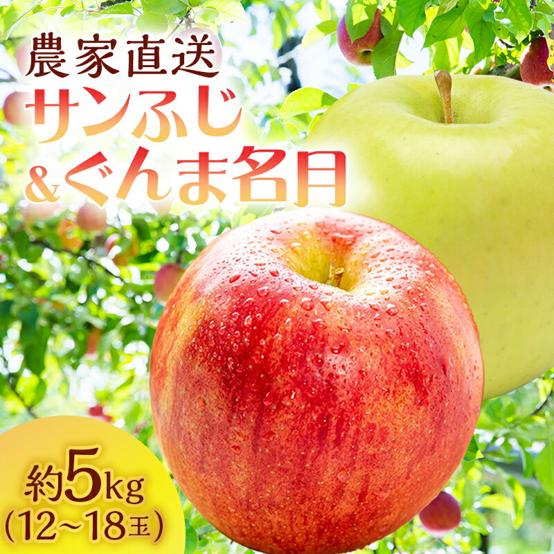 りんご 青森 サンふじ ぐんま名月 約 5kg (12〜18玉) リンゴ 詰め合わせ セット サイキチ農園 食べ比べ 青森県 鰺ヶ沢町産 フルーツ 果物 白神山地 果物類 林檎 サンフジ ふじ 2024 お届け:2025年11月5日〜12月10日
