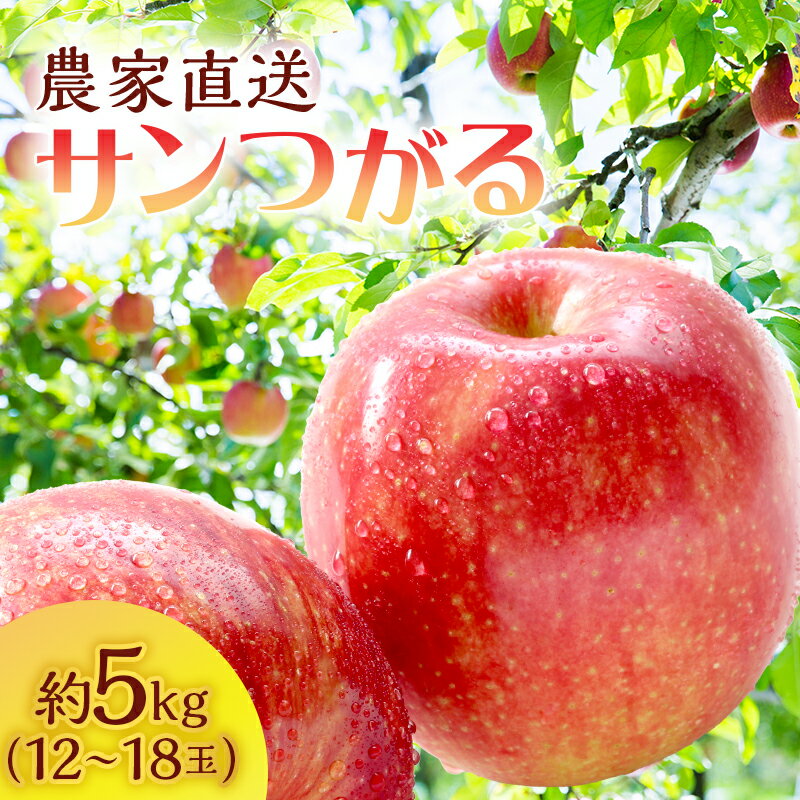 [クール便でお届け]りんご 青森 サンつがる 約 5kg (12〜18玉) リンゴ サイキチ農園 青森県 鰺ヶ沢町産 フルーツ 果物 贈答用 贈答 ギフト 白神山地 果物類 林檎 2024 お届け:2025年9月5日〜9月15日