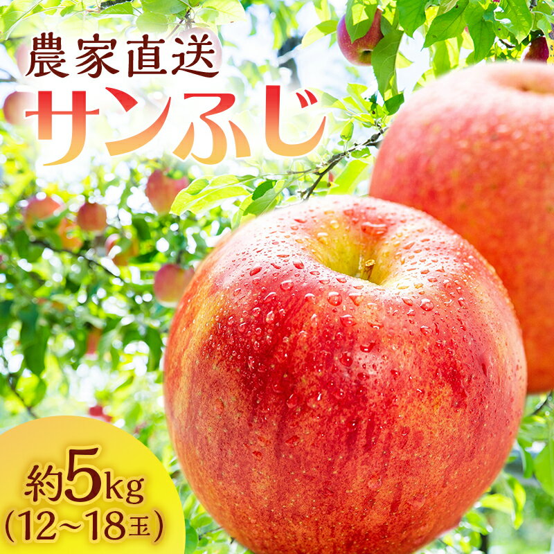 りんご 青森 サンふじ 約 5kg (12〜18玉) リンゴ サイキチ農園 青森県 鰺ヶ沢町産 フルーツ 果物 贈答用 贈答 ギフト 白神山地 果物類 林檎 サンフジ ふじ 2024 お届け:2025年11月10日〜12月31日
