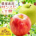 【ふるさと納税】りんご 青森 サンふじ 王林 約 5kg (12~18玉) リンゴ 詰め合わせ セット サイキチ農園 食べ比べ 青森県 鰺ヶ沢町産 フルーツ 果物 贈答用 贈答 ギフト サンフジ ふじ 2024 お届け:2025年11月15日~2026年1月10日