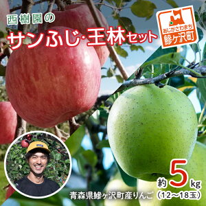 【ふるさと納税】りんご 青森 サンふじ 王林 約 5kg (12~18玉) リンゴ 詰め合わせ セット 青森県 鰺ヶ沢町産 西樹園 フルーツ 果物 果物類 白神山地 林檎 サンフジ ふじ お届け:2025年11月15日~12月25日