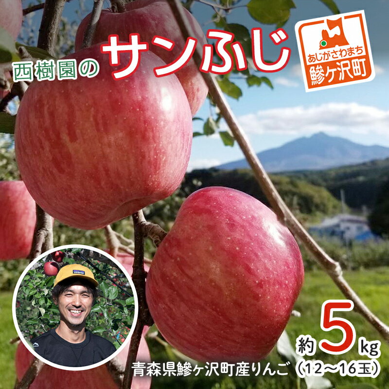 【ふるさと納税】りんご 青森 サンふじ リンゴ 約 5kg 