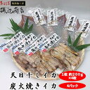 11位! 口コミ数「4件」評価「4.5」イカ 生干しイカ 4枚（1枚約200g×4枚） 炭火焼きイカ 4パック いか セット 干物 干物セット するめ スルメ スルメイカ 海鮮 魚･･･ 