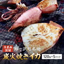 イカ 炭火焼きイカ 5パック セット 青森 いか 干物 干物セット するめ スルメ スルメイカ 海鮮 魚介類 魚介 海産物 国産 加工食品 惣菜 青森県 鰺ヶ沢町 ※ご入金確認後 3ヶ月以内の発送になります。　