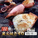 イカ 炭火焼きイカ 8パック セット 青森 いか 干物 干物セット するめ スルメ スルメイカ 海鮮 魚介類 魚介 海産物 国産 加工食品 惣菜 青森県 鰺ヶ沢町 ※ご入金確認後 3ヶ月以内の発送になります。　