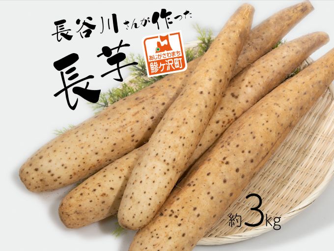 【ふるさと納税】長谷川さんが作った長芋（約3kg） 野菜 根菜 やさい とろろ 芋 いも 青森県 鰺ヶ沢町　お届け：毎年12月上旬～翌年5月下旬の配送です。