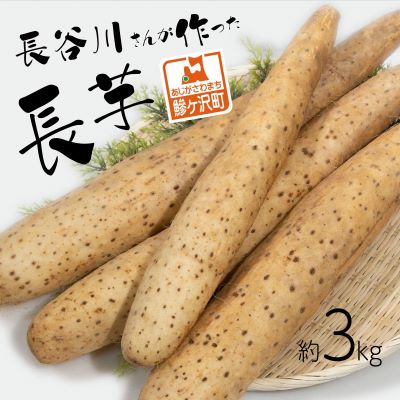 【ふるさと納税】長谷川さんが作った長芋(約3kg) 野菜 根菜 やさい とろ...