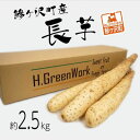 28位! 口コミ数「1件」評価「4」鯵ヶ沢町産 長芋（約2.5kg）　【野菜・根菜】　お届け：2023年12月5日～2024年4月15日