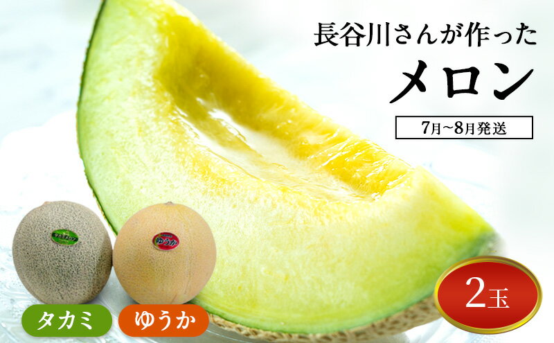 【ふるさと納税】【先行予約2025年産】長谷川さんが作ったメロン2個（ゆうか・タカミ）　7月～8月発送　青森県鰺ヶ沢町産　お届け：2026年7月25日～2026年8月10日