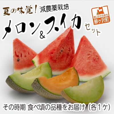 楽天ふるさと納税　【ふるさと納税】【先行予約2024年産】夏の味覚！津軽産 減農薬栽培「メロン＆スイカ」セット（各1ケ）　【メロン青肉・フルーツ・メロン赤肉・果物類・スイカ】　お届け：2024年7月25日～2024年8月20日