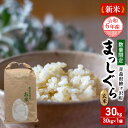 青森県鰺ヶ沢町 まっしぐら〔玄米〕30kg（30kg×1袋）  お届け：令和5年10月中旬頃より順次配送予定