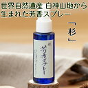 【ふるさと納税】世界自然遺産白神山地から生まれた芳香スプレー「杉」50ml　【アロマグッズ】