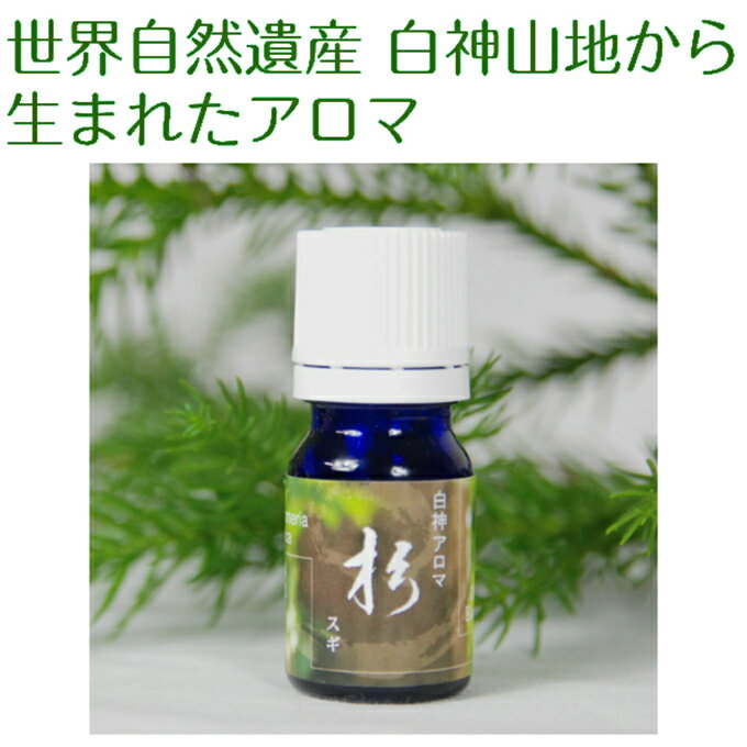 【ふるさと納税】世界自然遺産白神山地から生まれたアロマ「杉」精油 2ml ディフューザー付　【アロマグッズ】