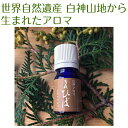 世界自然遺産白神山地から生まれたアロマ「青森ひば」精油 5ml ディフューザー付　