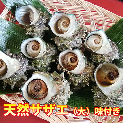 天然 サザエ 味付き 冷凍 約1kg 大8～9個入り 青森県西海岸産 貝 貝類 海鮮 海鮮セット 簡単調理 レンジ簡単調理 温めるだけ おかず おつまみ つまみ お酒のつまみ 酒のつまみ 青森 青森県 鰺ヶ沢町