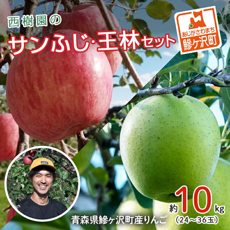【ふるさと納税】りんご 青森 サンふじ 王林 約 10kg 