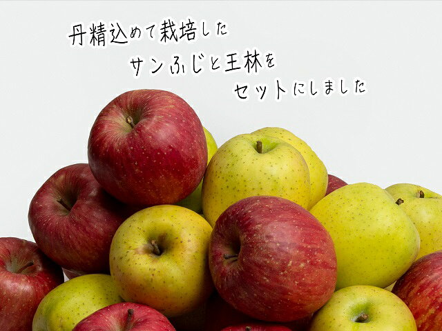 【ふるさと納税】《先行予約》 りんご 特選 サンふじ 王林 詰合せ 青森県産 約 10kg (24～36玉） フルーツ 果物 ふじ 産地直送 お取り寄せ 送料無料 青森県 鰺ヶ沢町 《西樹園》　お届け：2026年11月15日～12月30日 f023213-ajigasawa-10000609 青森県鰺ヶ沢町 サンプル画像3