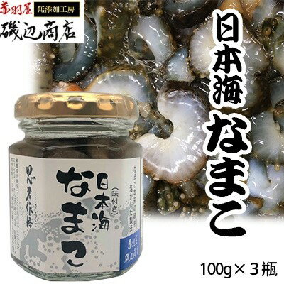 10位! 口コミ数「0件」評価「0」なまこ 味付き 3本 セット 珍味 日本海 おつまみセット おつまみ ごはんのお供 ご飯のお供 加工食品 海産物 ナマコ 海鮮 魚介類 魚介･･･ 