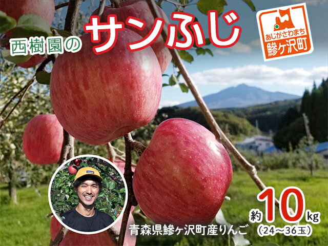 【ふるさと納税】りんご 青森 サンふじ リンゴ 約 10kg (24～36玉) 青森県 鰺ヶ沢町産 西樹園 フルーツ 果物 果物類 白神山地 林檎 サンフジ ふじ 　お届け：2025年11月15日～2026年1月10日