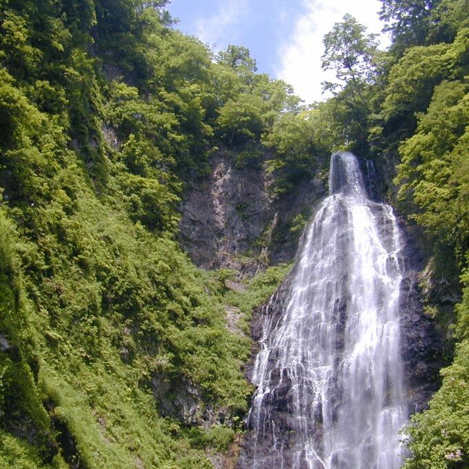 【青森県鰺ヶ沢町】世界自然遺産 白神山地トレッキングガイド ～くろくまの滝コース～ 体験チケット お届け：5月下旬～11月上旬（実施期間）