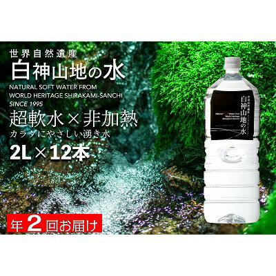 【ふるさと納税】白神山地の水2L×12本 年2回お届け！！定