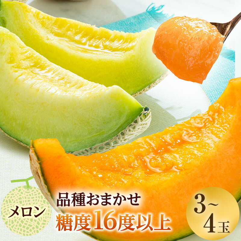 【ふるさと納税】【先行予約2025年産】津軽産 減農薬栽培メロン 3~4玉 糖度16度以上保証! 果物類 メロン青肉 フルーツ メロン赤肉 お届け:2025年7月20日~2025年8月25日