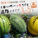 【ふるさと納税】先行予約 訳あり 工藤さんが作ったスイカ 3~5玉 品種おまかせ スイカ すいか 果物 くだもの フルーツ 旬の果物 旬のフルーツ 季節のフルー...