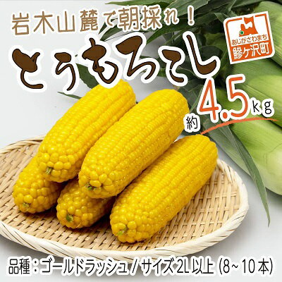 【ふるさと納税】【先行予約2023年産】 岩木山麓で朝採れ！とうもろこし（ゴールドラッシュ）2L以上 8〜10本入り 約4.5kg【8月〜9月出荷】　【野菜・とうもろこし・トウモロコシ・ゴールドラッシュ・コーン】　お届け：2023年8月20日〜2023年9月10日のサムネイル