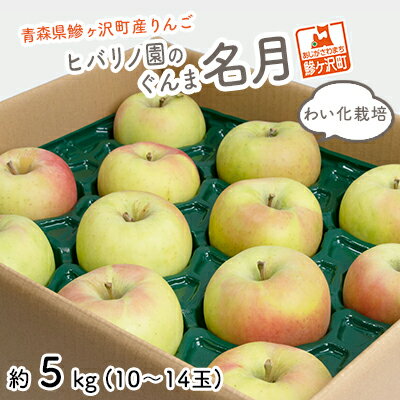 りんご 青森 ぐんま名月 わい化栽培 リンゴ 約 5kg (10〜14玉) 青森県 鰺ヶ沢町産 ヒバリノ園 フルーツ 果物 果物類 白神山地 林檎 2024 ※オンライン決済のみ お届け:2025年10月25日〜11月5日