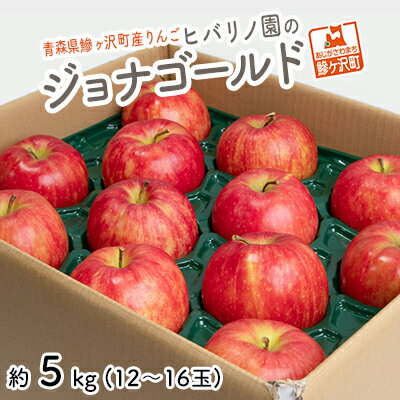 【ふるさと納税】りんご 青森 ジョナゴールド リンゴ 約 5