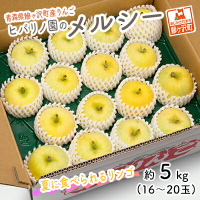 りんご 青森 メルシー リンゴ 約 5kg (16〜20玉) 青森県 鰺ヶ沢町産 ヒバリノ園 フルーツ 果物 果物類 白神山地 林檎 2024 8月 ※オンライン決済のみ お届け:2025年8月8日〜8月15日