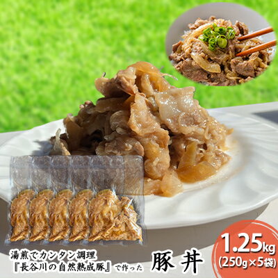 【ふるさと納税】豚丼 1.25kg 250g 5袋 【湯煎でカンタン調理 長谷川の自然熟成豚 で作った豚丼】肉 【お肉・豚肉・たれ・豚丼・1.25kg・甘辛タレ・味付け】