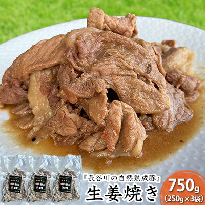 17位! 口コミ数「0件」評価「0」生姜焼き　750g（250g×3袋）【湯煎でカンタン調理『長谷川の自然熟成豚』で作った生姜焼き】肉　【お肉・豚肉・たれ・生姜焼き・750g・･･･ 