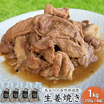 23位! 口コミ数「0件」評価「0」生姜焼き　1kg（250g×4袋）【湯煎でカンタン調理『長谷川の自然熟成豚』で作った生姜焼き】肉　【お肉・豚肉・たれ・生姜焼き・自家製タレ・･･･ 