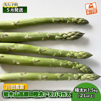 【ふるさと納税】【先行予約2024年産】岩木山高原の極太アスパラガス！約1.5kg（2L以上）【5月6月発送】青森県鰺ヶ沢町産　【アスパラガス・野菜・産地直送】　お届け：2024年5月10日～2024年6月5日