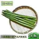 【ふるさと納税】アスパラガス 先行予約 夏アスパラガス 約1.5kg+100g M~2L 混合 川田農園 アスパラ グリーンアスパラ 野菜 夏野菜 旬 旬の野菜 産地直送 2025年 2025 予約 青森 冷蔵 冷蔵配送 7月~9月発送 お届け:2025年7月25日~2025年9月10日