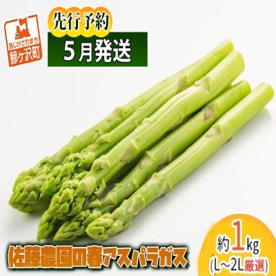 【ふるさと納税】【先行予約2024年産】佐藤農園の春アスパラガス！約1kg（L～2L厳選）【5月発送】青森県鰺ヶ沢町産　アスパラガス・春野菜・産地直送　お届け：2024年5月10日～2024年6月5日のサムネイル