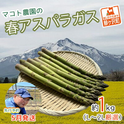 【先行予約2024年産】マコト農園の春アスパラガス！約1kg（L～2L厳選）【5月6月発送】青森県鰺ヶ沢町産　【アスパラガス・野菜・産地直送】　お届け：2024年5月10日～2024年6月5日