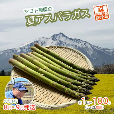 [先行予約2024年産]マコト農園の夏アスパラガス!約1kg+100g(L〜2L厳選)[8月〜9月発送]青森県鰺ヶ沢町産 [アスパラガス・野菜・産地直送] お届け:2024年8月5日〜2024年9月15日