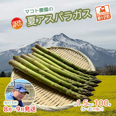 【ふるさと納税】【先行予約2024年産】マコト農園の夏アスパラガス！約1.5kg+100g（S～2L不揃い）【訳...