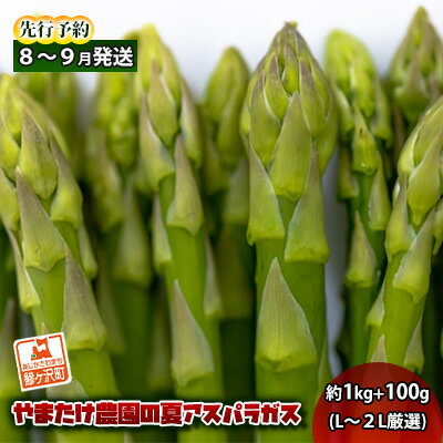 【先行予約2024年産】やまたけ農園の夏アスパラガス！約1kg+100g（L～2L厳選）【8月～9月発送】青森県鰺ヶ沢町産　【アスパラガス・野菜・産地直送】　お届け：2024年8月5日～2024年9月15日