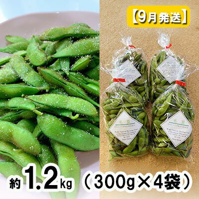【ふるさと納税】【 2024年産 数量限定 】幻の毛豆 あおもり福丸 約1.2kg（300g×4袋）【9月クール便発送】青森県鰺ヶ沢町産 ※オンライン決済のみ　野菜・枝豆　お届け：2024年9月15日～2024年9月25日のサムネイル