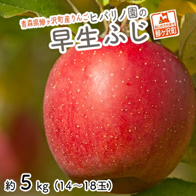 【ふるさと納税】りんご 青森 早生 ふじ リンゴ 約 5kg
