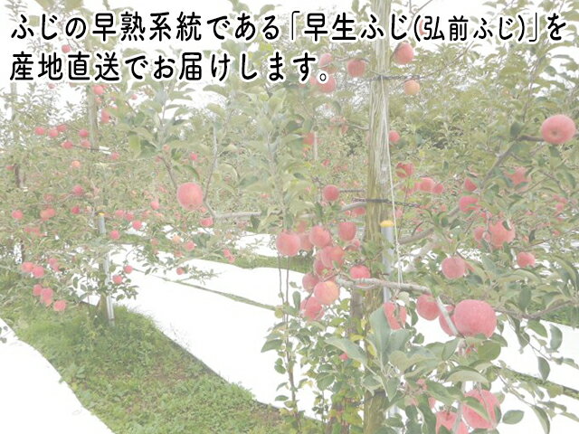 【お中元・送料無料】mikiyacoffee 北海道羊蹄山名水珈琲ゼリー詰合せ MMC-CZ 御中元